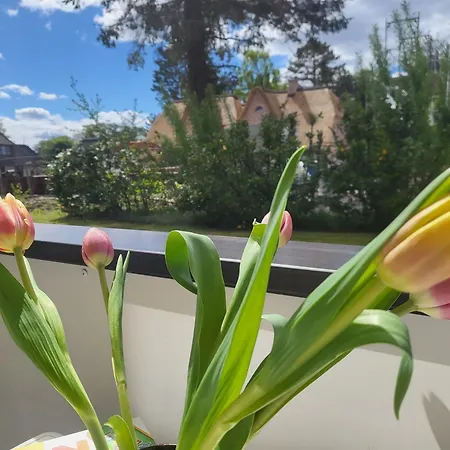 Appartement Am Stillen Dorf